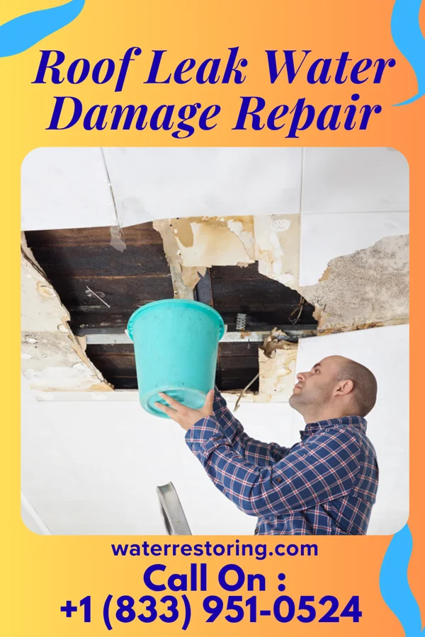 Roof Leak Water Damage Repair in Saukville, WI