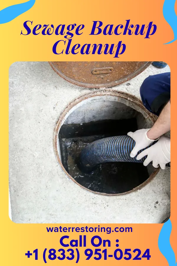 Sewage Backup Cleanup in Saukville, WI